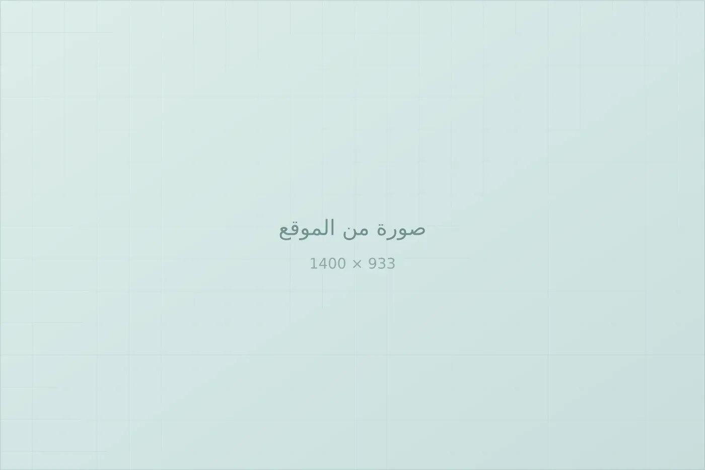 متابعة أعمال الصيانة الميدانية.